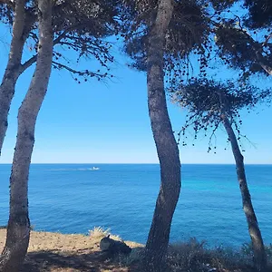 A 50m Du Port De Carry-cote Bleue Appartement